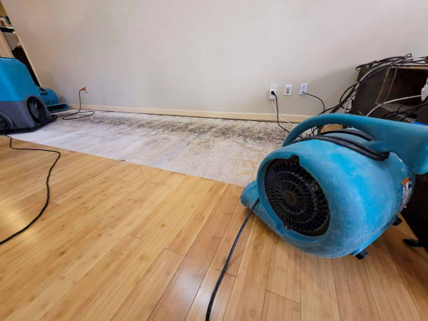 Professional Water Extraction technician working in Maple Grove, MN